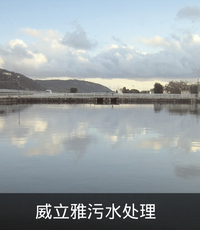 威立雅.png