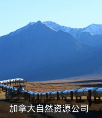 石油天然气.png