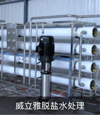 脱盐水处理.png